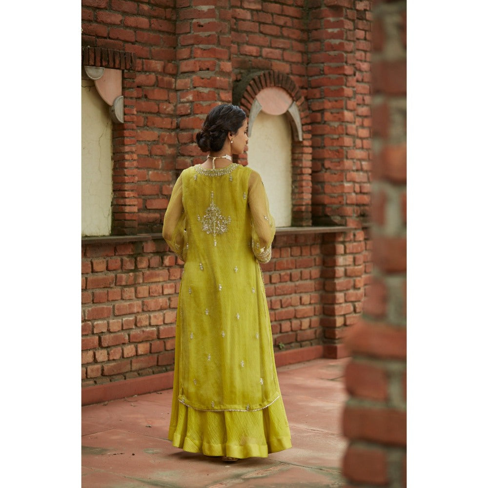 Vashisht Guru Dutt Green Silk Embroidered Kurta with Palazzo and Dupatta (Set of 3)