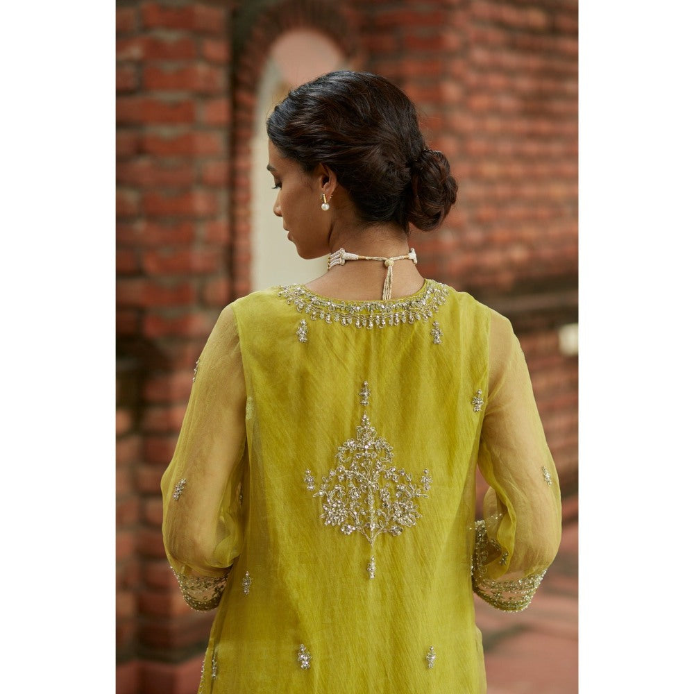 Vashisht Guru Dutt Green Silk Embroidered Kurta with Palazzo and Dupatta (Set of 3)