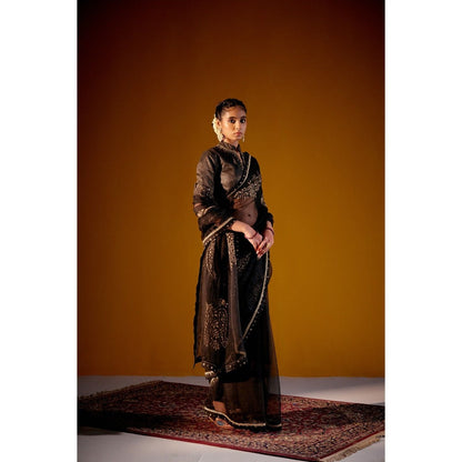 Vashisht Guru Dutt Black Organza Printed Embroidered Saree with Stitched Blouse