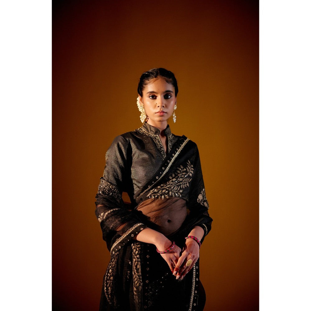 Vashisht Guru Dutt Black Organza Printed Embroidered Saree with Stitched Blouse