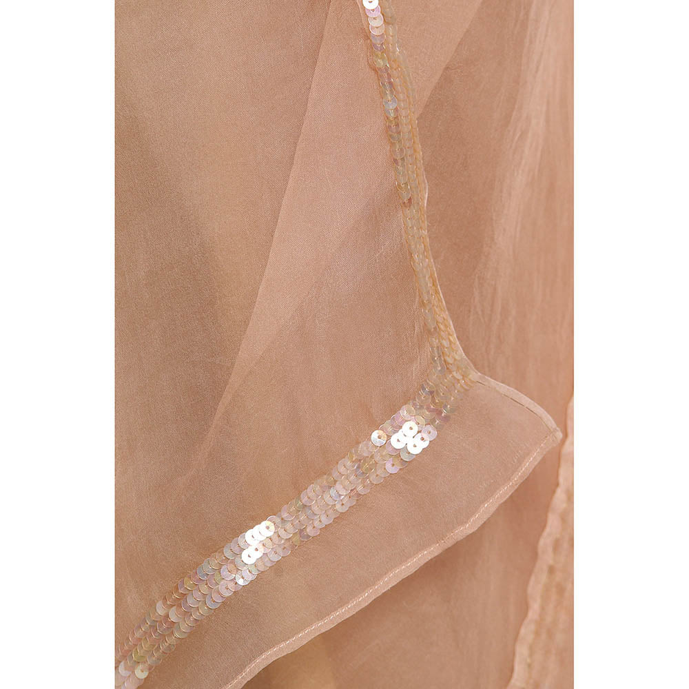 Via East Nude Organza Sequin Celeste Saree