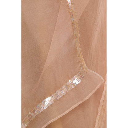 Via East Nude Organza Sequin Celeste Saree