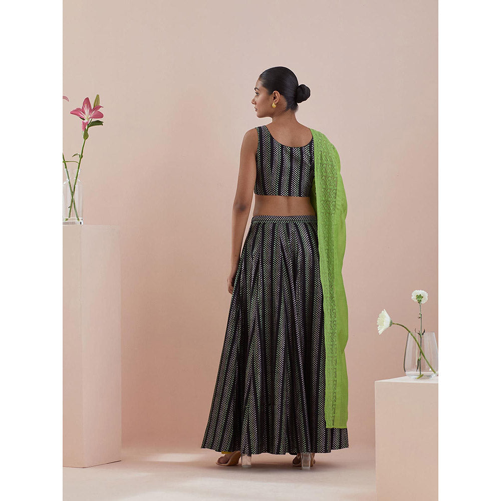 Vinusto Black Textured Cotton Lehenga with Blouse and Dupatta (Set of 3)