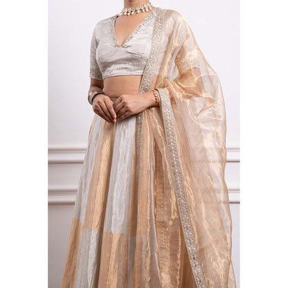 Vinusto Chanderi Embroidered Tissue Zari Blouse with Lehenga and Dupatta (Set of 3)