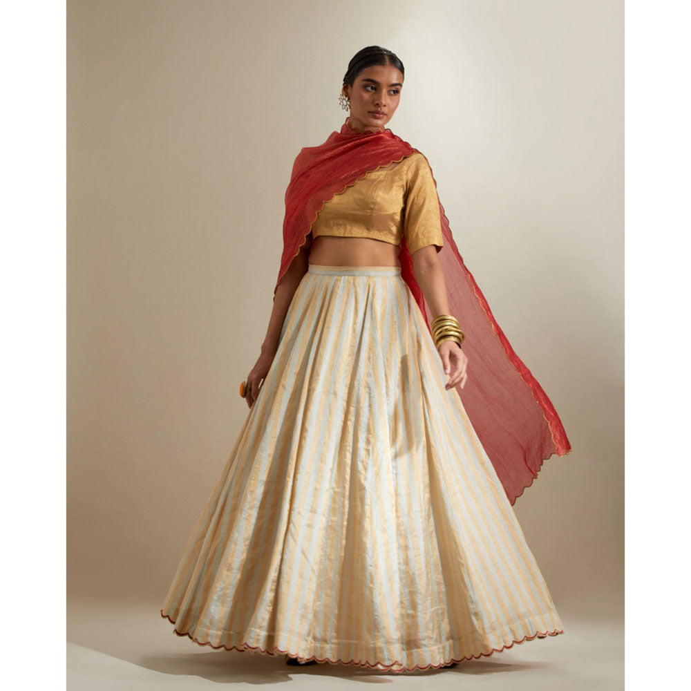Vinusto Silver- Gold Zari Stripe Lehenga with Blouse & Red Dupatta
