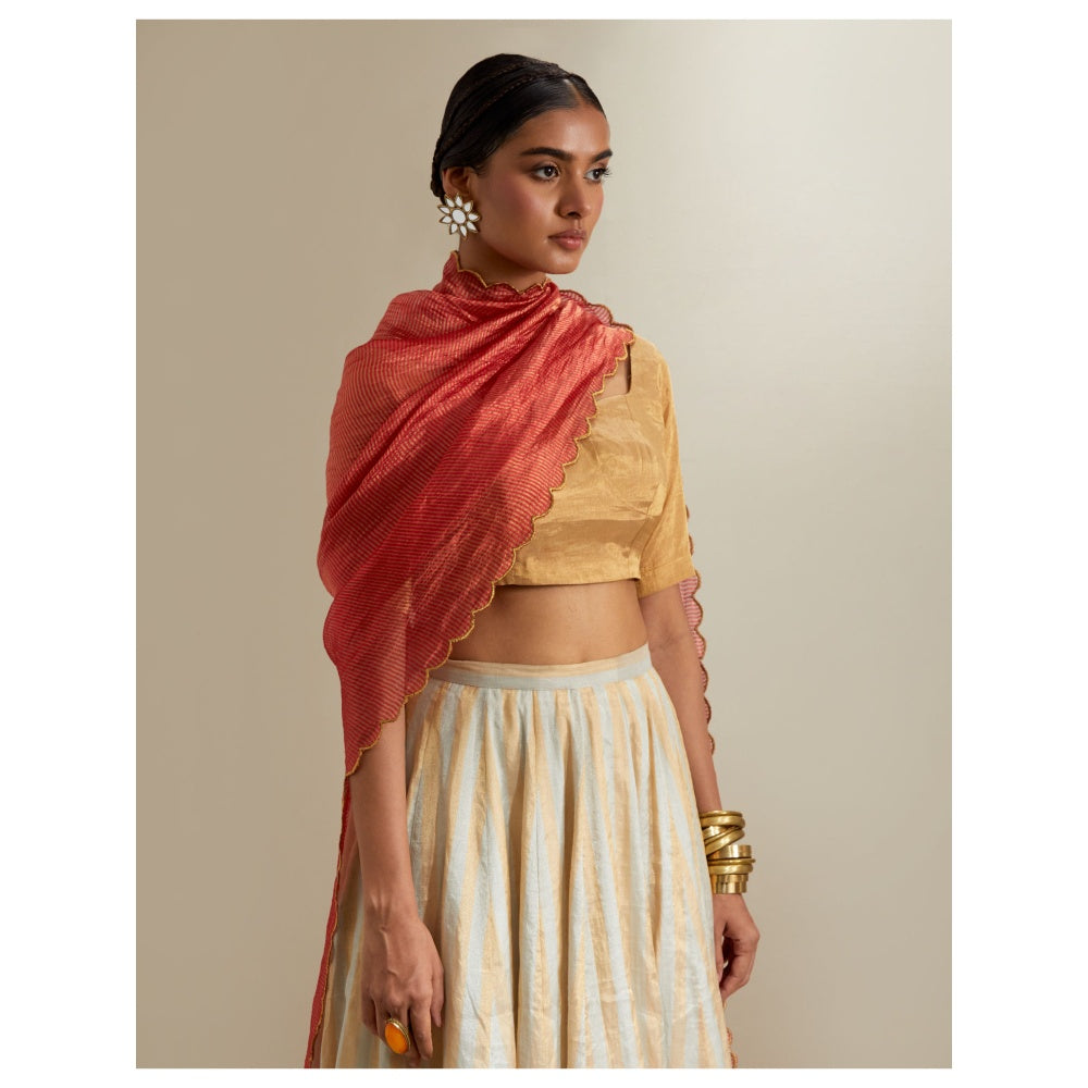 Vinusto Silver- Gold Zari Stripe Lehenga with Blouse & Red Dupatta