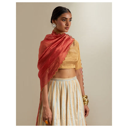 Vinusto Silver- Gold Zari Stripe Lehenga with Blouse & Red Dupatta