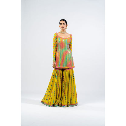 Vvani by Vani Vats Multi Color Moss Green Kurti with Sharara & Dupatta (Set of 3)