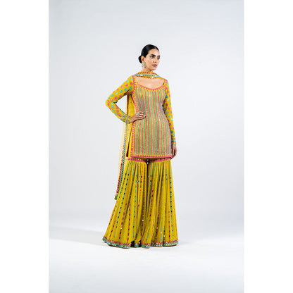 Vvani by Vani Vats Multi Color Moss Green Kurti with Sharara & Dupatta (Set of 3)