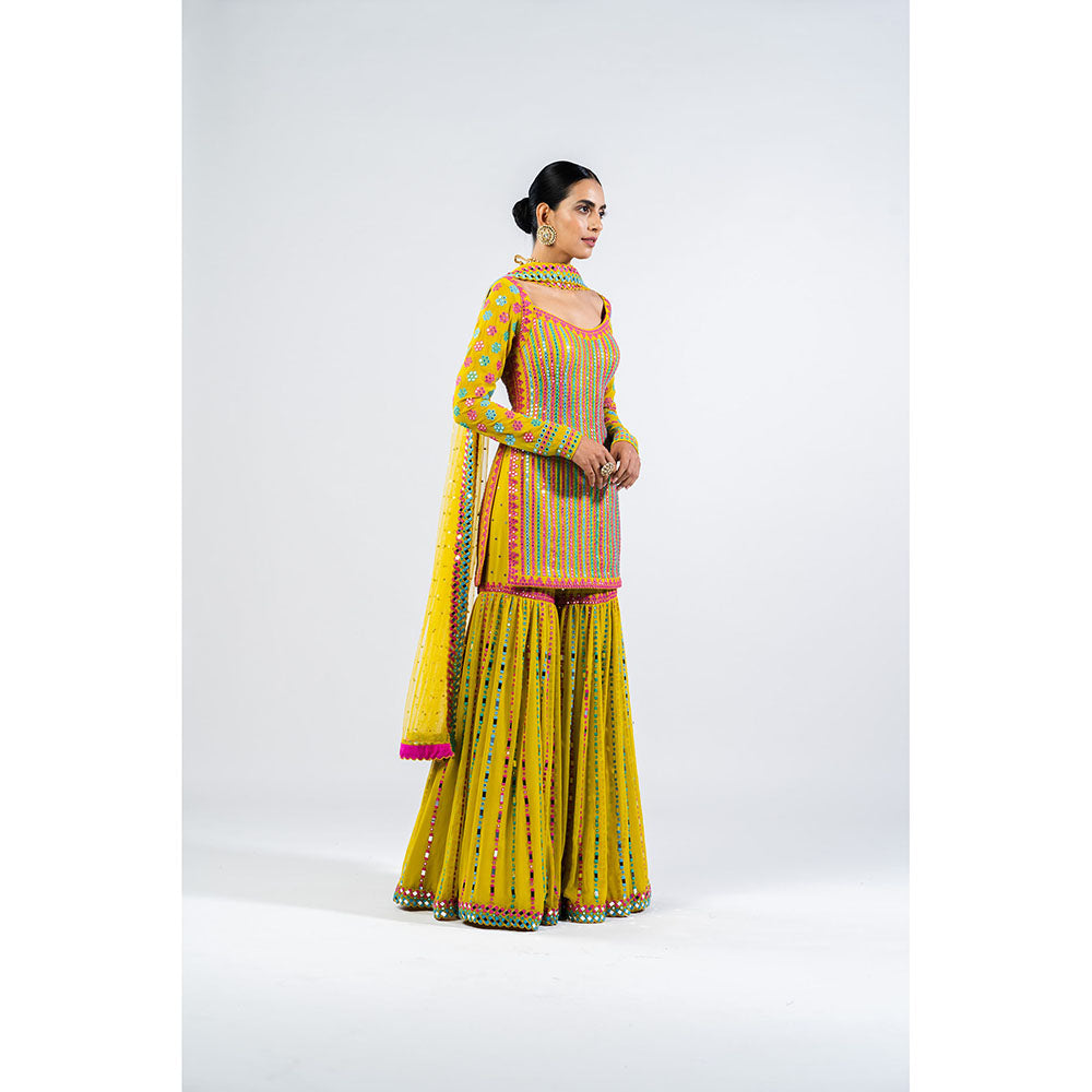 Vvani by Vani Vats Multi Color Moss Green Kurti with Sharara & Dupatta (Set of 3)