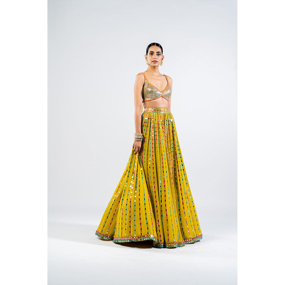 Vvani by Vani Vats Moss Green Linear Drop Lehenga with Metallic Blouse & Dupatta (Set of 3)