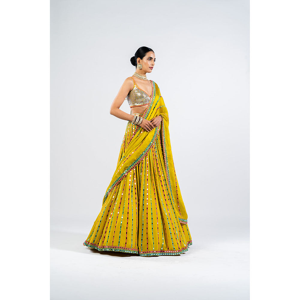 Vvani by Vani Vats Moss Green Linear Drop Lehenga with Metallic Blouse & Dupatta (Set of 3)