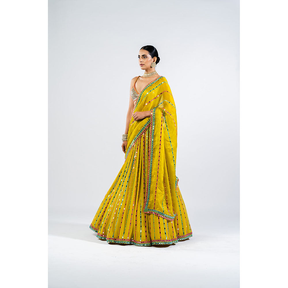 Vvani by Vani Vats Moss Green Linear Drop Lehenga with Metallic Blouse & Dupatta (Set of 3)