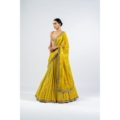 Vvani by Vani Vats Moss Green Linear Drop Lehenga with Metallic Blouse & Dupatta (Set of 3)