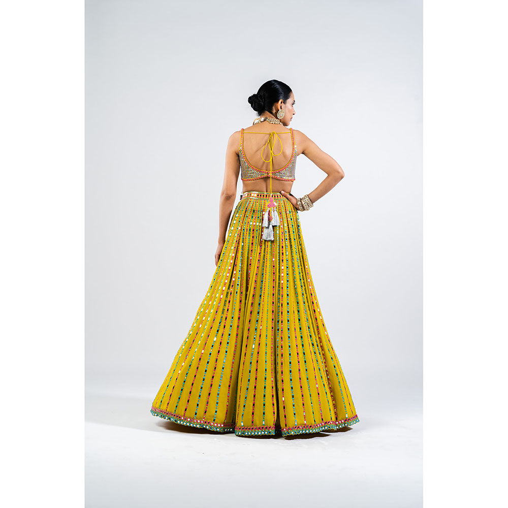 Vvani by Vani Vats Moss Green Linear Drop Lehenga with Metallic Blouse & Dupatta (Set of 3)