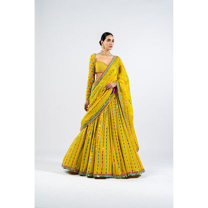 Vvani by Vani Vats Moss Green Linear Drop Blouse with Lehenga & Dupatta (Set of 3)