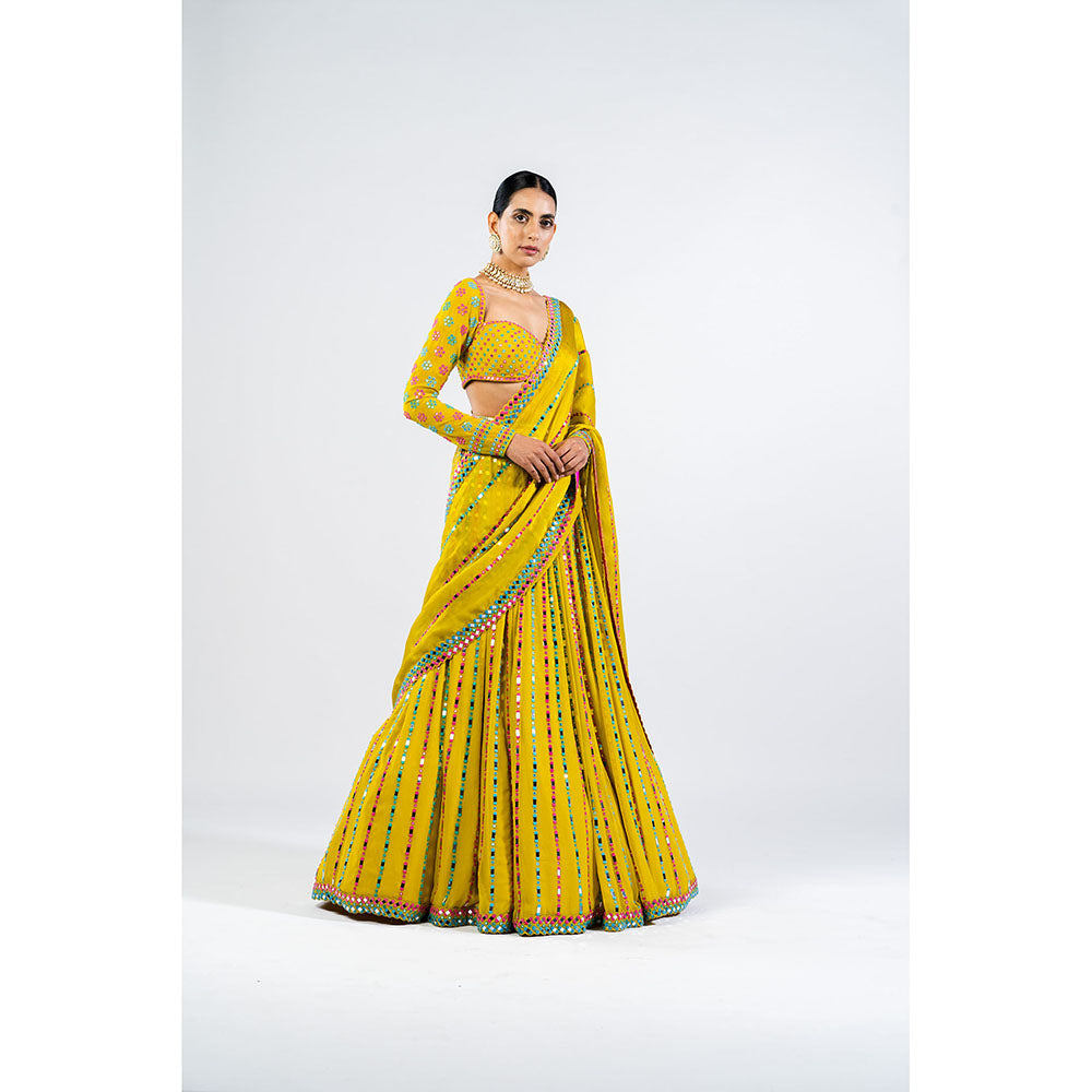 Vvani by Vani Vats Moss Green Linear Drop Blouse with Lehenga & Dupatta (Set of 3)