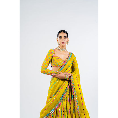 Vvani by Vani Vats Moss Green Linear Drop Blouse with Lehenga & Dupatta (Set of 3)