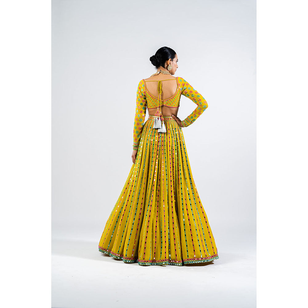 Vvani by Vani Vats Moss Green Linear Drop Blouse with Lehenga & Dupatta (Set of 3)