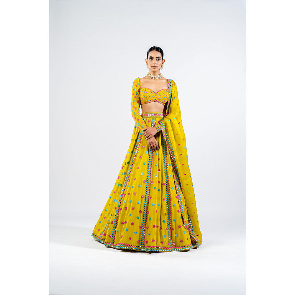 Vvani by Vani Vats Moss Green Flower Blouse with Lehenga & Dupatta (Set of 3)