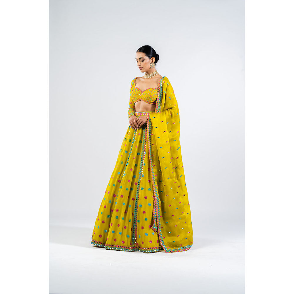 Vvani by Vani Vats Moss Green Flower Blouse with Lehenga & Dupatta (Set of 3)