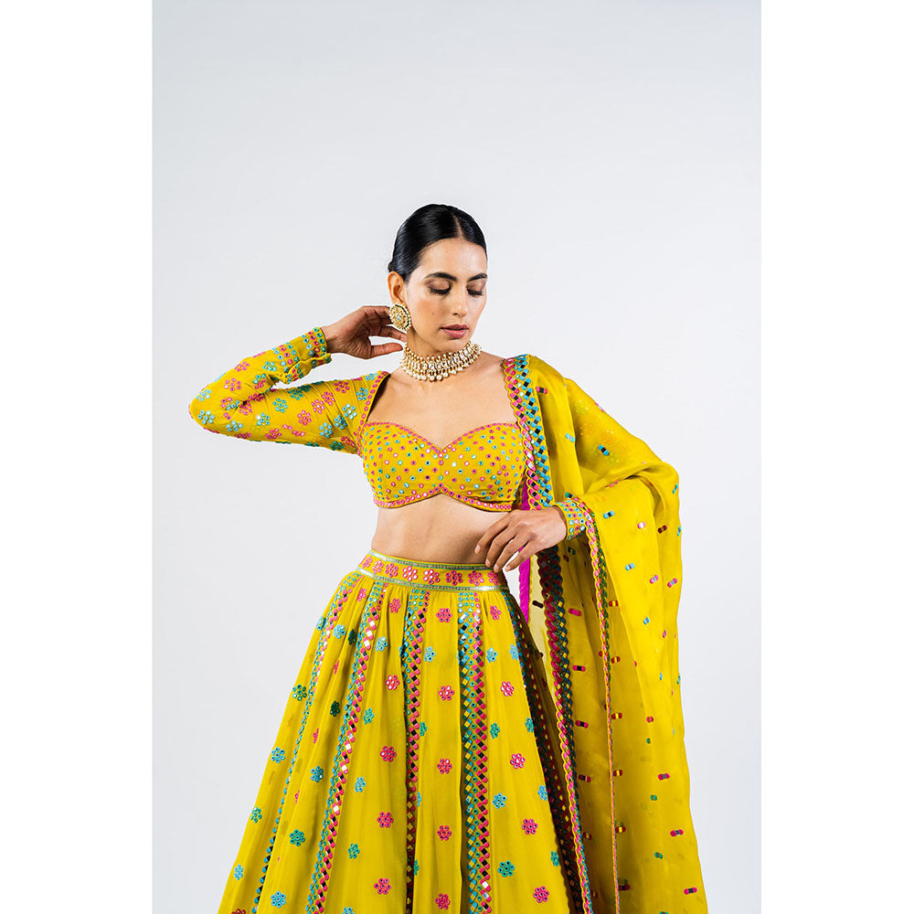 Vvani by Vani Vats Moss Green Flower Blouse with Lehenga & Dupatta (Set of 3)