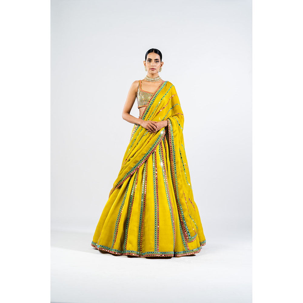 Vvani by Vani Vats Moss Green Mirror Seam Lehenga & Dupatta with Metallic Blouse (Set of 3)