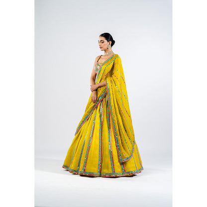 Vvani by Vani Vats Moss Green Mirror Seam Lehenga & Dupatta with Metallic Blouse (Set of 3)