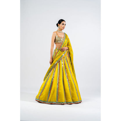 Vvani by Vani Vats Moss Green Mirror Seam Lehenga & Dupatta with Metallic Blouse (Set of 3)