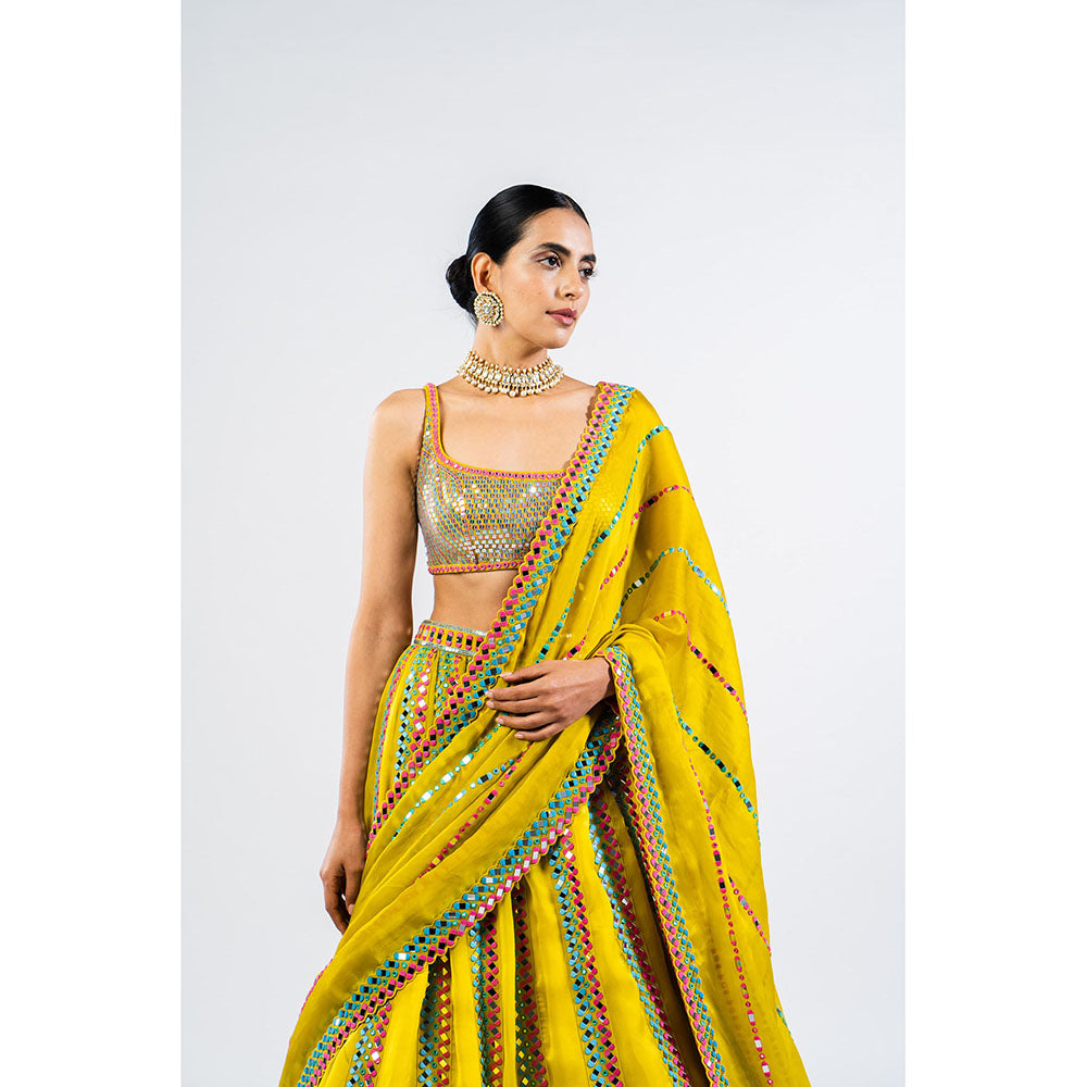 Vvani by Vani Vats Moss Green Mirror Seam Lehenga & Dupatta with Metallic Blouse (Set of 3)