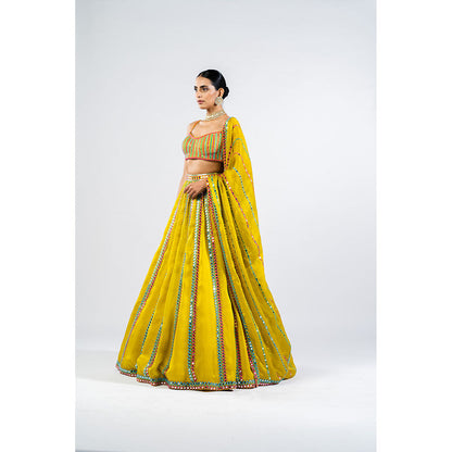 Vvani by Vani Vats Moss Green Mirror Seam Blouse with Lehenga & Dupatta (Set of 3)