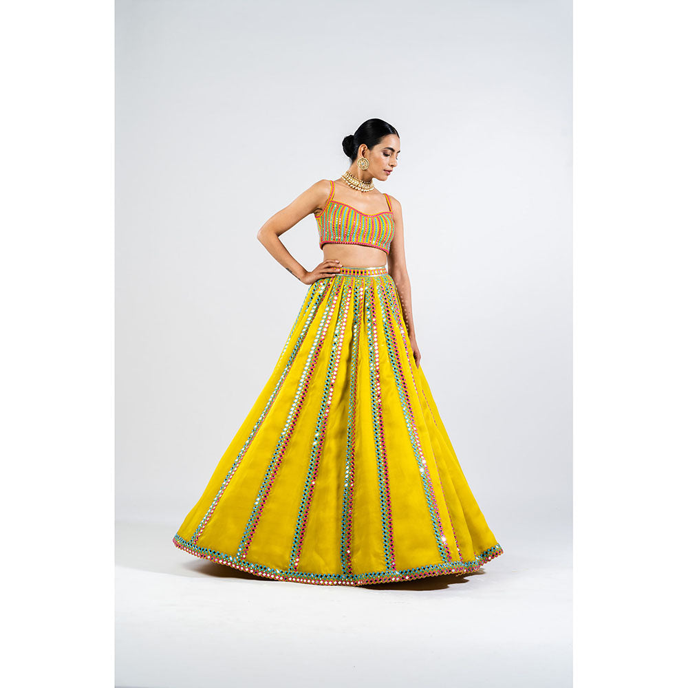 Vvani by Vani Vats Moss Green Mirror Seam Blouse with Lehenga & Dupatta (Set of 3)