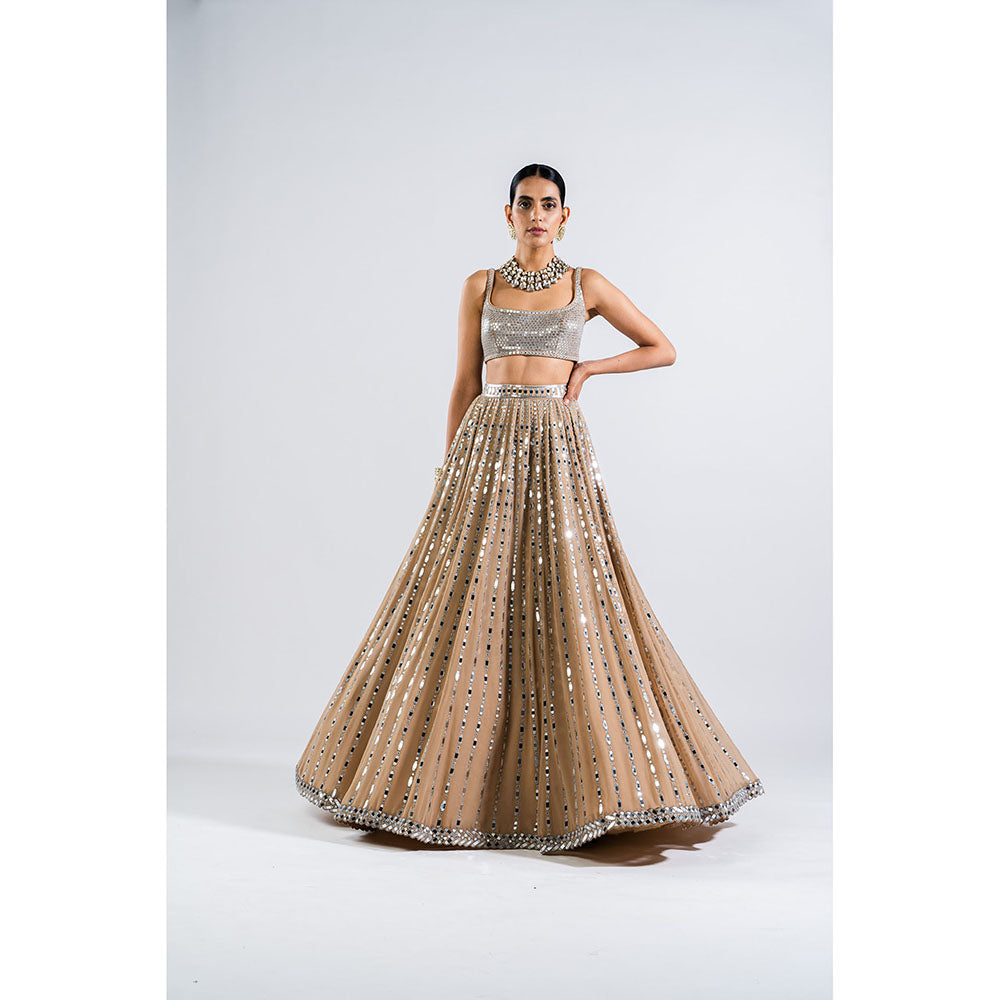 Vvani by Vani Vats Beige Linear Drop Lehenga with Metallic Blouse & Dupatta (Set of 3)