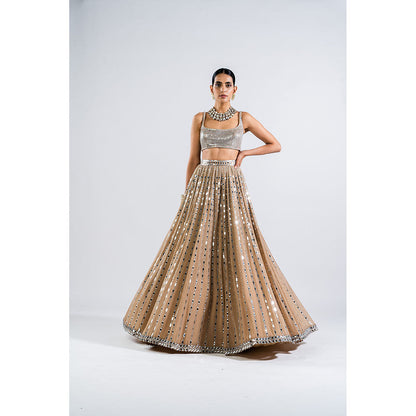 Vvani by Vani Vats Beige Linear Drop Lehenga with Metallic Blouse & Dupatta (Set of 3)