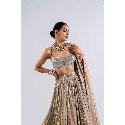 Vvani by Vani Vats Beige Linear Drop Lehenga with Metallic Blouse & Dupatta (Set of 3)