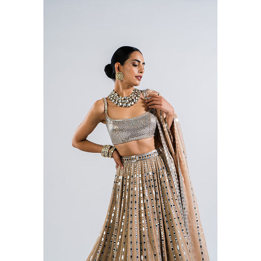 Vvani by Vani Vats Beige Linear Drop Lehenga with Metallic Blouse & Dupatta (Set of 3)