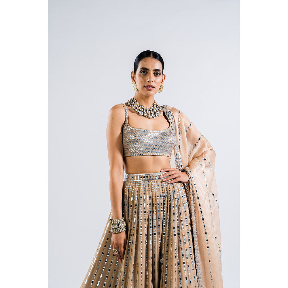 Vvani by Vani Vats Beige Linear Drop Lehenga with Metallic Blouse & Dupatta (Set of 3)