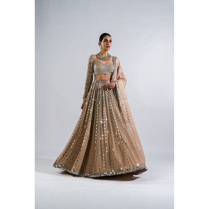 Vvani by Vani Vats Beige Linear Drop Blouse with Lehenga & Dupatta (Set of 3)