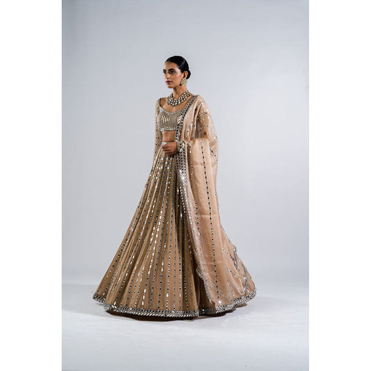 Vvani by Vani Vats Beige Linear Drop Blouse with Lehenga & Dupatta (Set of 3)