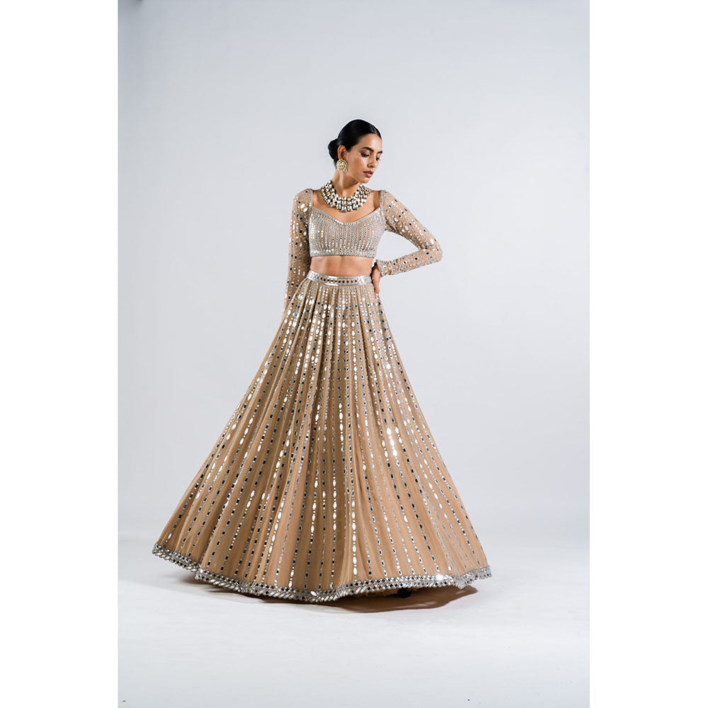 Vvani by Vani Vats Beige Linear Drop Blouse with Lehenga & Dupatta (Set of 3)