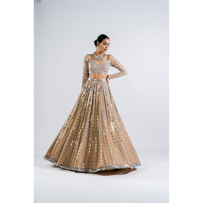 Vvani by Vani Vats Beige Linear Drop Blouse with Lehenga & Dupatta (Set of 3)