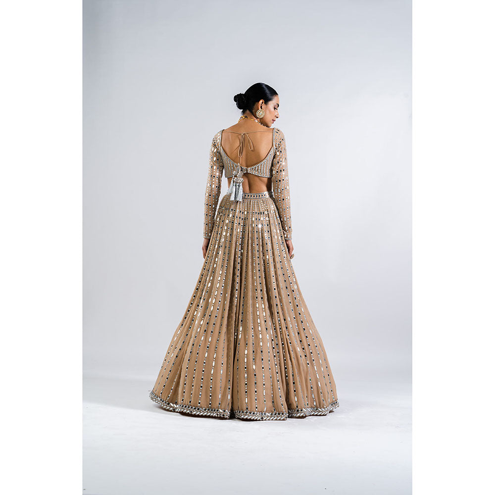Vvani by Vani Vats Beige Linear Drop Blouse with Lehenga & Dupatta (Set of 3)