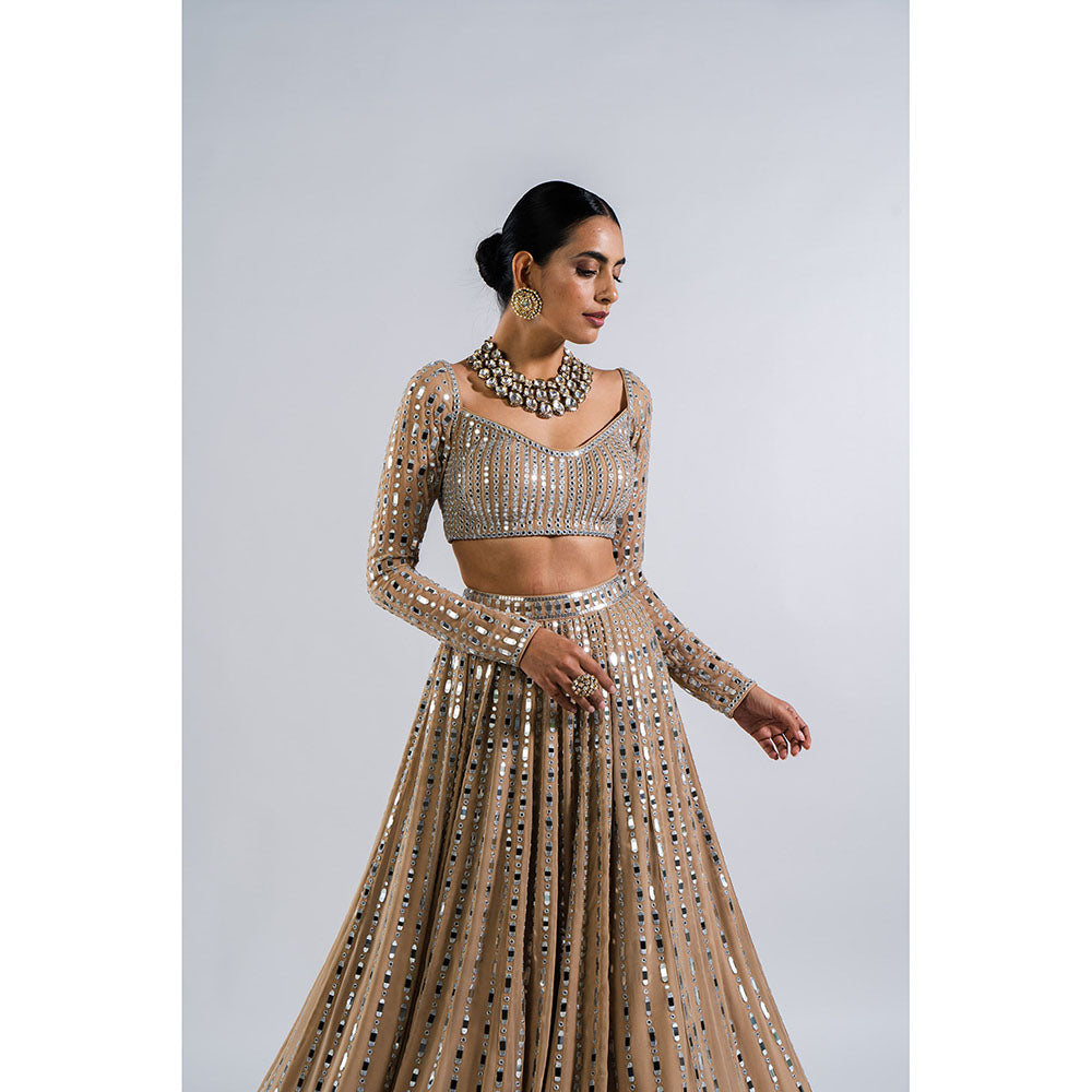 Vvani by Vani Vats Beige Linear Drop Blouse with Lehenga & Dupatta (Set of 3)