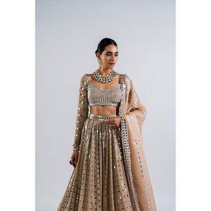 Vvani by Vani Vats Beige Linear Drop Blouse with Lehenga & Dupatta (Set of 3)