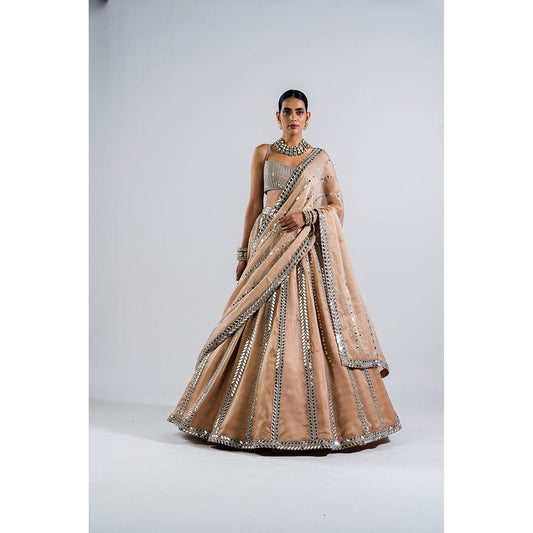 Vvani by Vani Vats Beige Mirror Seam Blouse with Lehenga & Dupatta (Set of 3)