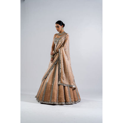 Vvani by Vani Vats Beige Mirror Seam Blouse with Lehenga & Dupatta (Set of 3)