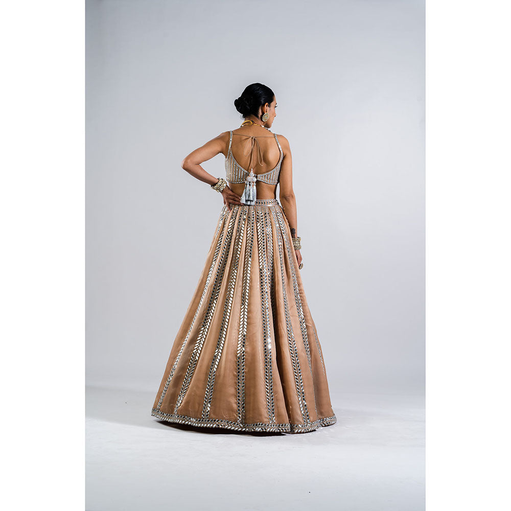 Vvani by Vani Vats Beige Mirror Seam Blouse with Lehenga & Dupatta (Set of 3)