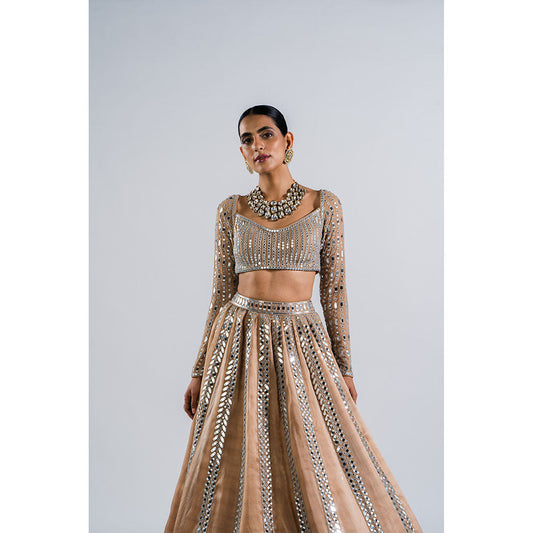 Vvani by Vani Vats Beige Mirror Seam Lehenga with Mirror Blouse & Dupatta (Set of 3)