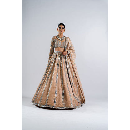 Vvani by Vani Vats Beige Mirror Seam Lehenga with Mirror Blouse & Dupatta (Set of 3)