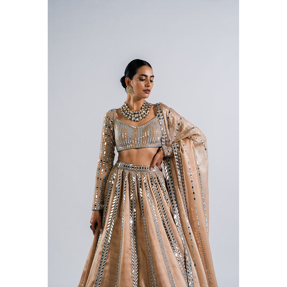 Vvani by Vani Vats Beige Mirror Seam Lehenga with Mirror Blouse & Dupatta (Set of 3)